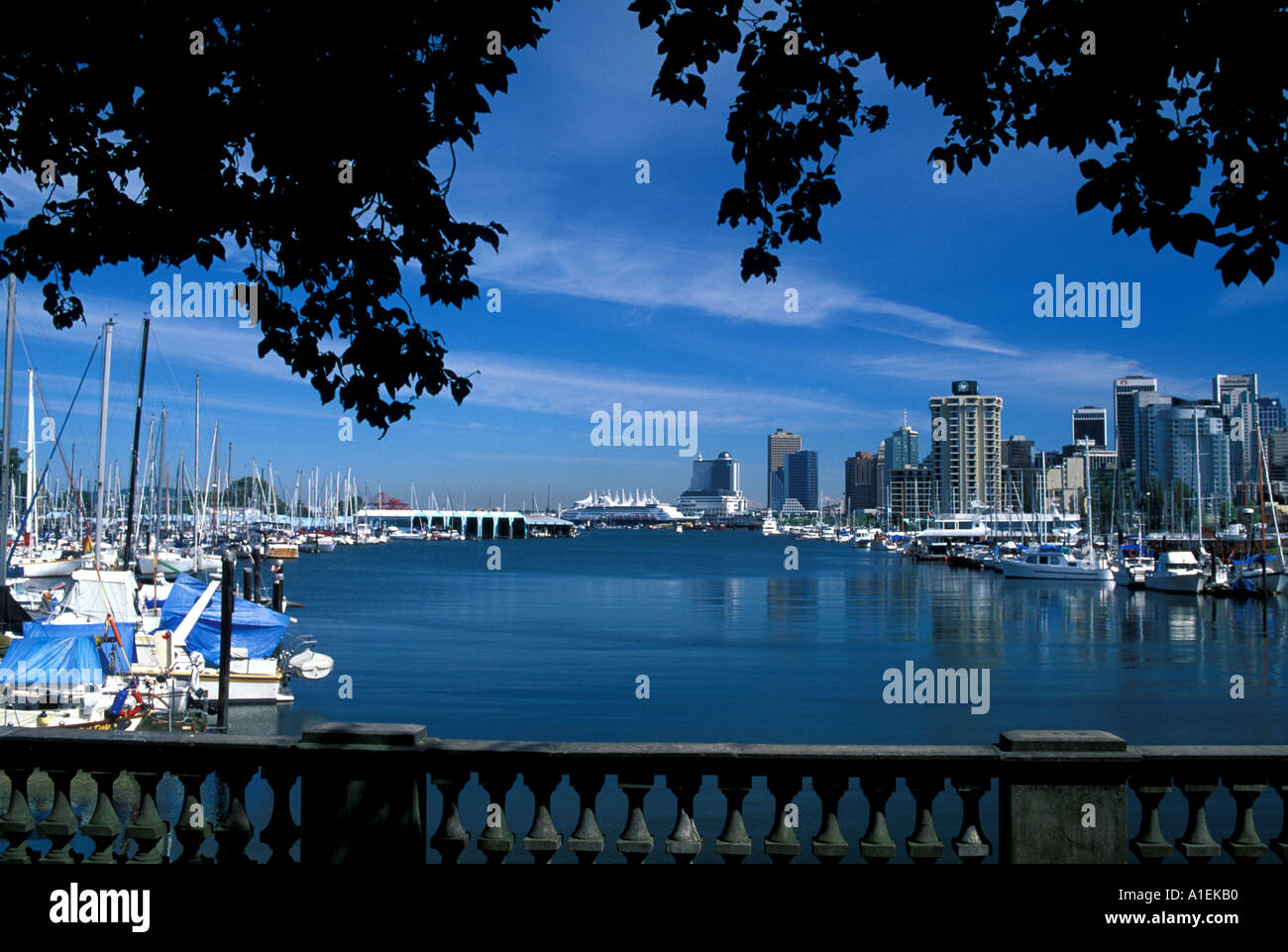Vancouver skyline stanley park hi-res stock photography and images - Alamy