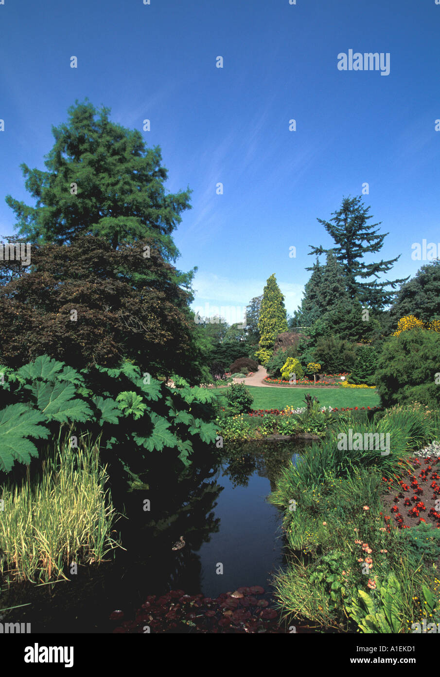 Vancouver Canada Queen Elizabeth Gardens Stock Photo Alamy