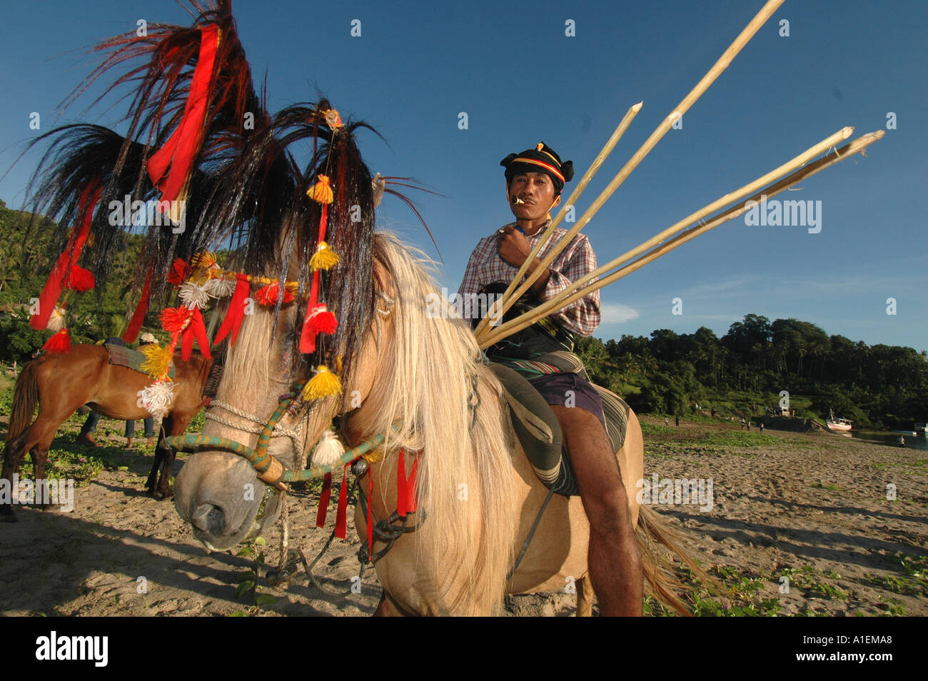 Ritual Adat Pasola Sumba Timur