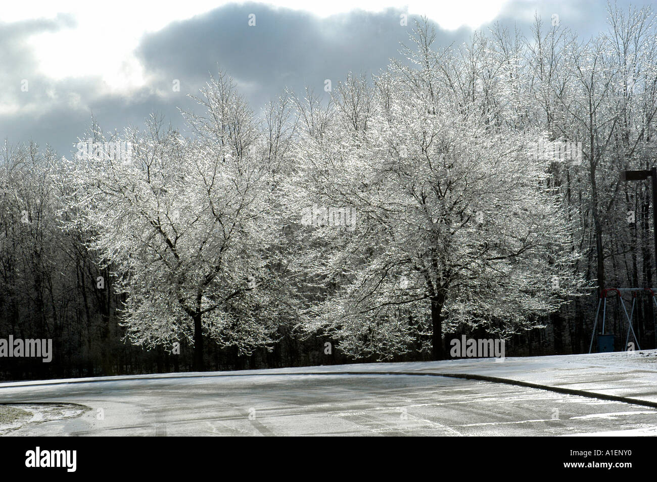 Winter ice storm blankets Michigan Stock Photo