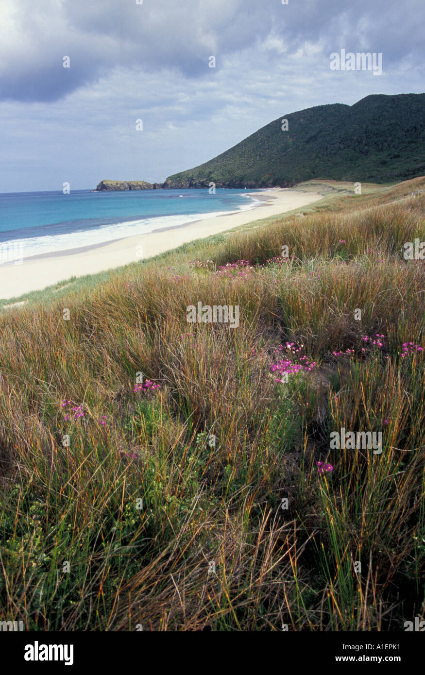 Blinky s Beach Lord Howe Island NSW Australia Stock Photo Alamy