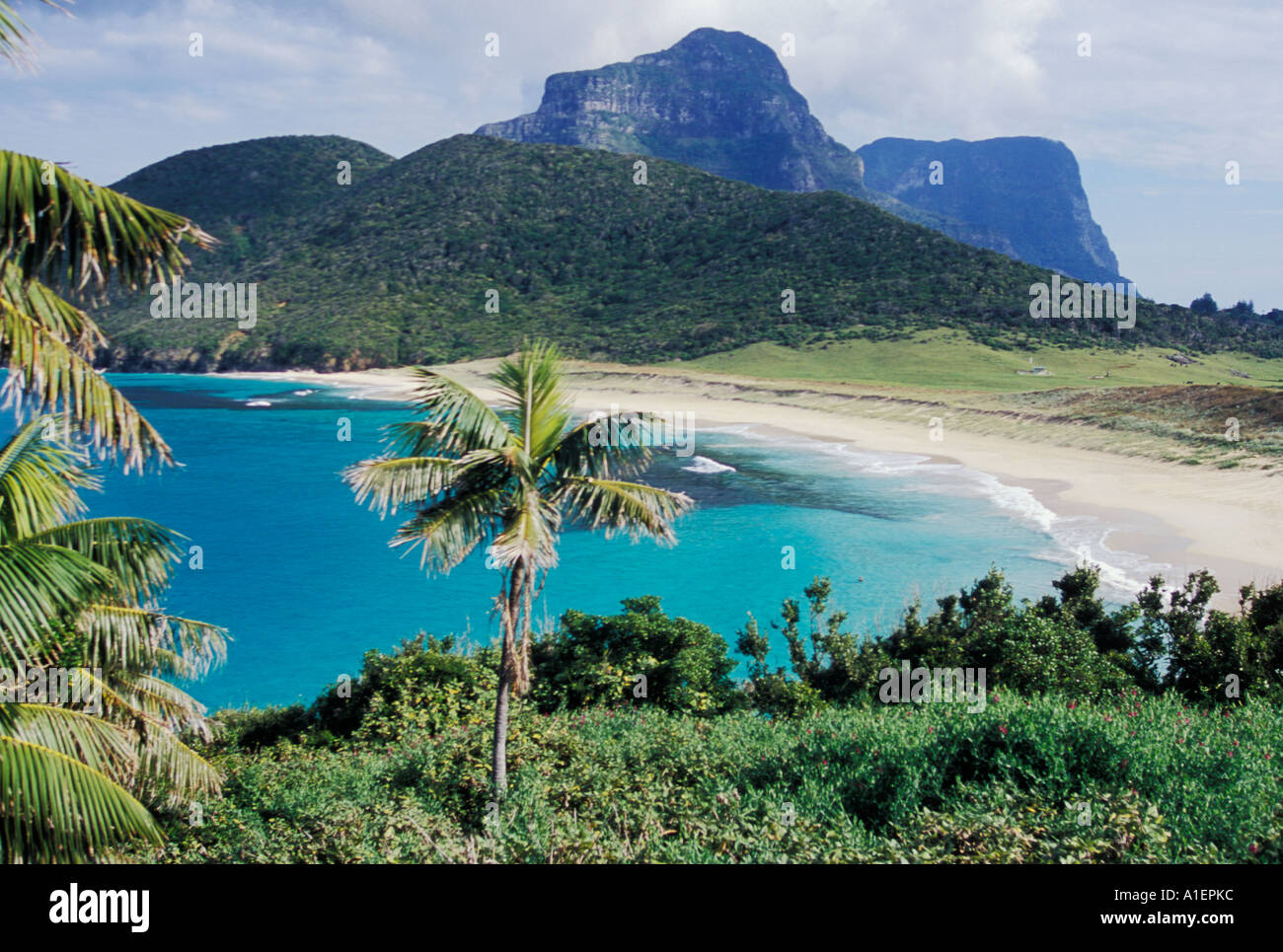 Blinky s Beach Lord Howe Island NSW Australia Stock Photo Alamy