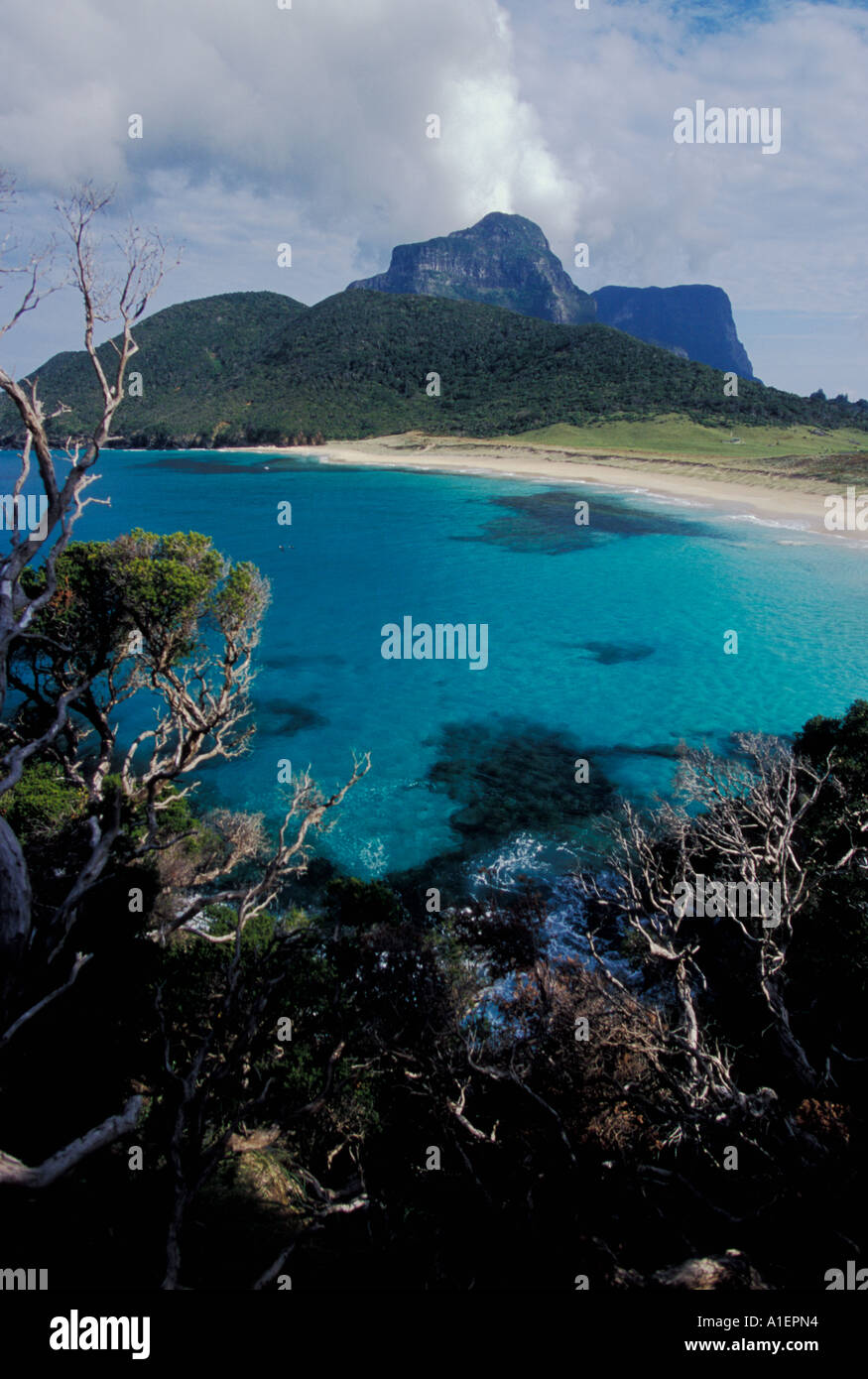 Blinky s Beach Lord Howe Island NSW Australia Stock Photo Alamy