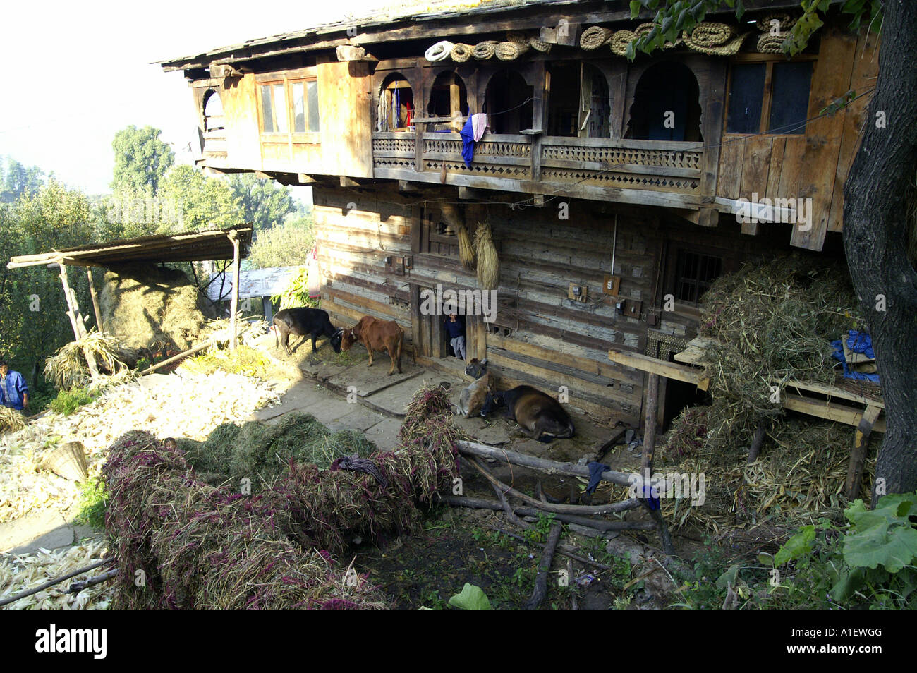 Rumsu village hi-res stock photography and images - Alamy
