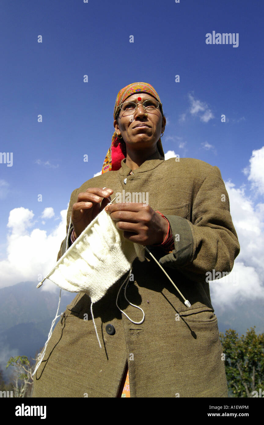 Indian woman knitting outdoors high in Indian Himalaya, Kullu Valley, India Stock Photo Alamy