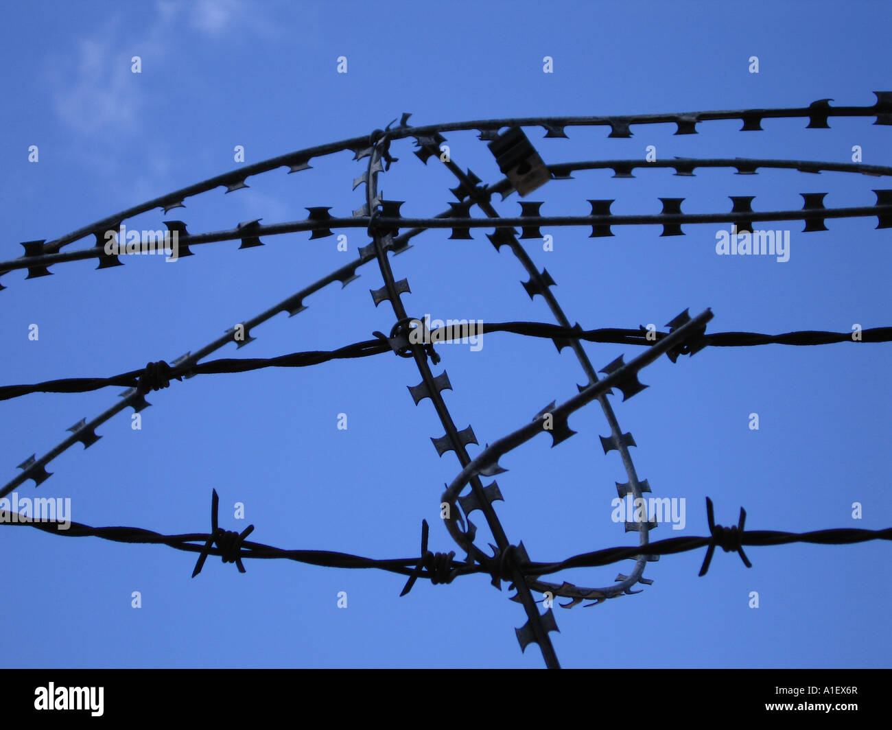 Razor wire cut out hires stock photography and images Alamy