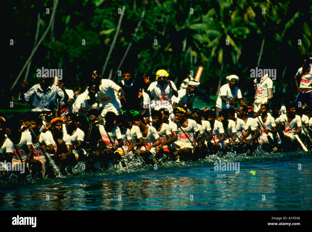 Men struggling rowing hard in competitive boat race Kerala India Stock