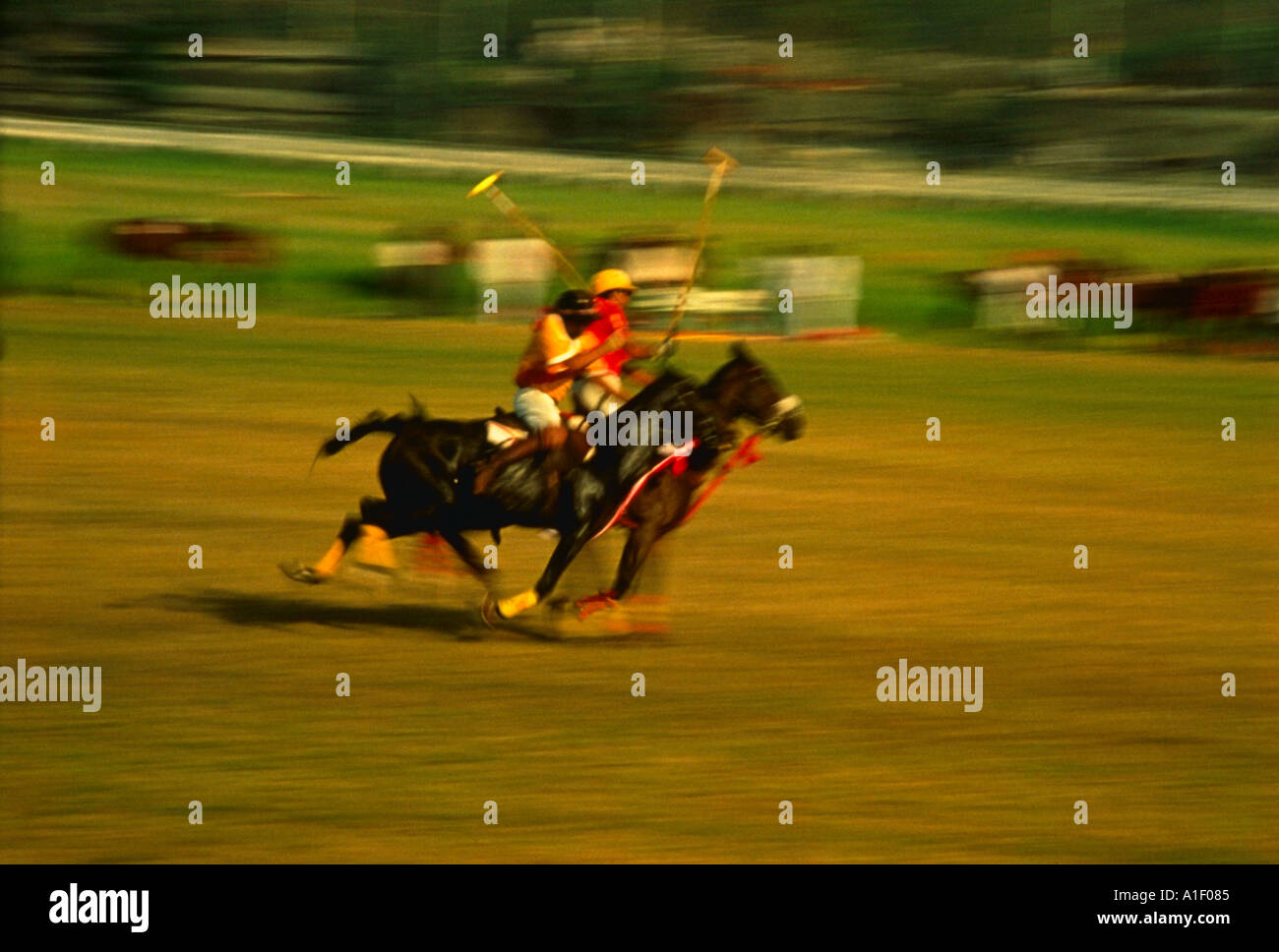 Horse Polo game of Maharajas is still played in India Stock Photo