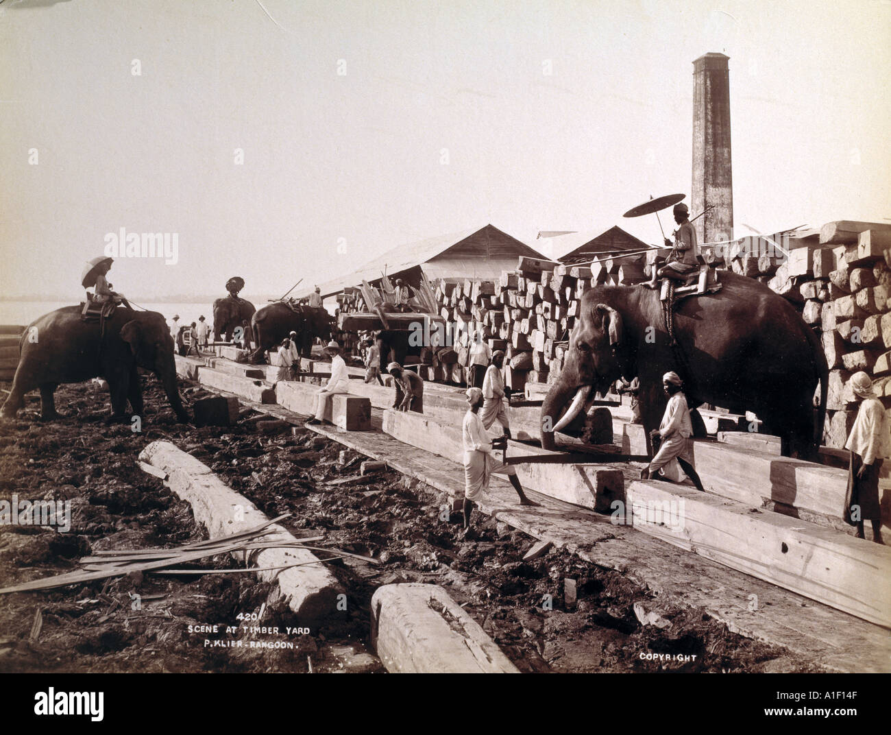 Scene at timber yard Rangoon Stock Photo