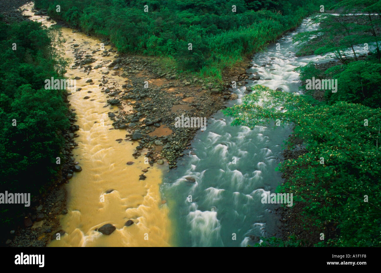 Clean and polluted streams meet Stock Photo - Alamy