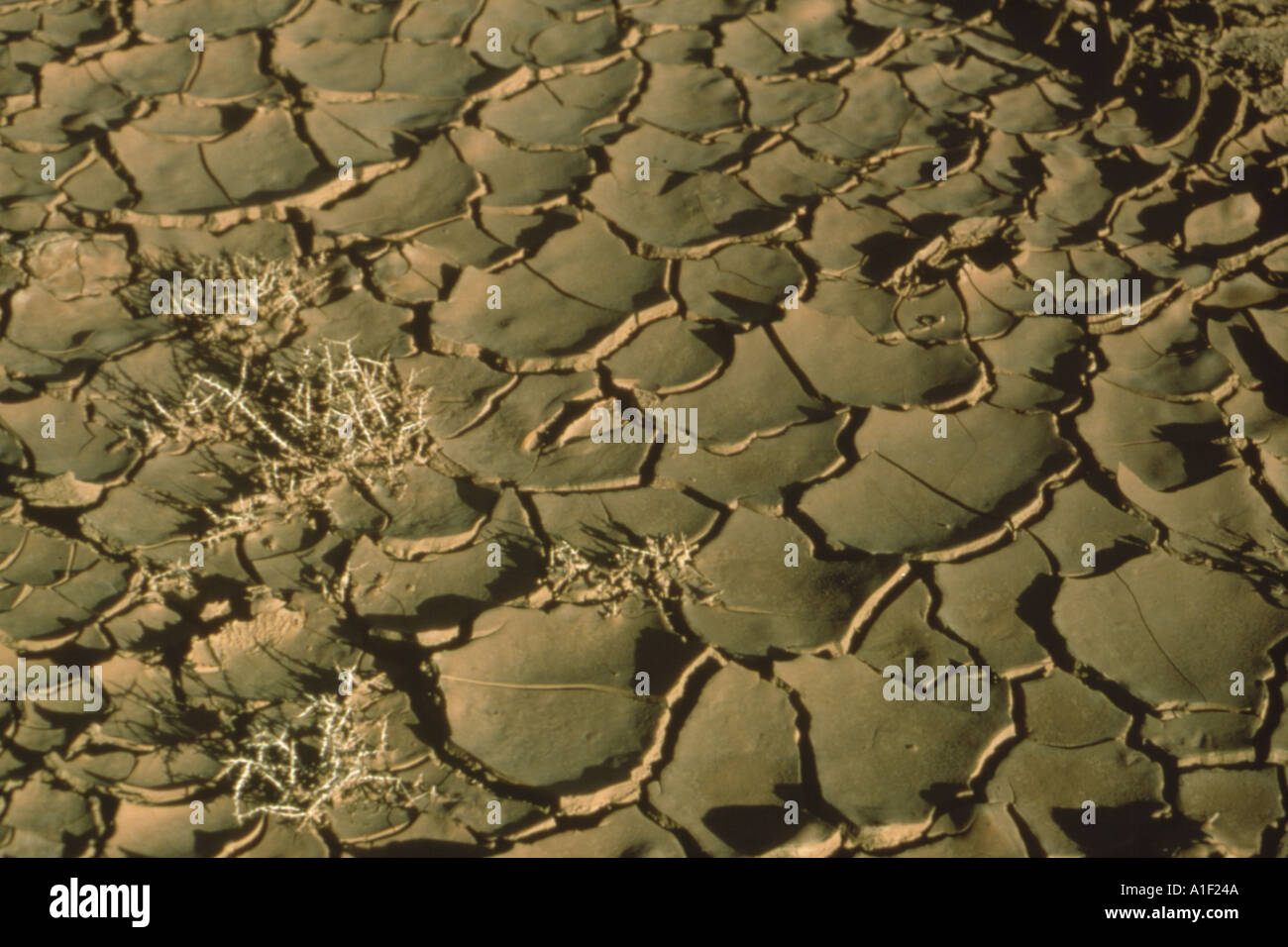 Cracked and dried up river-bed in Baluchistan Pakistan Stock Photo