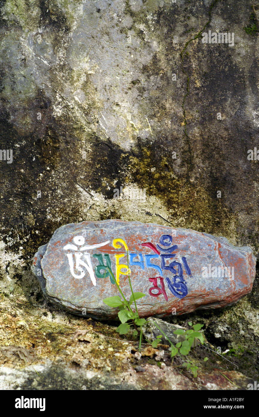 Om mani padme hum colourful sign on Mani stone, McLeod Ganj, India Stock Photo