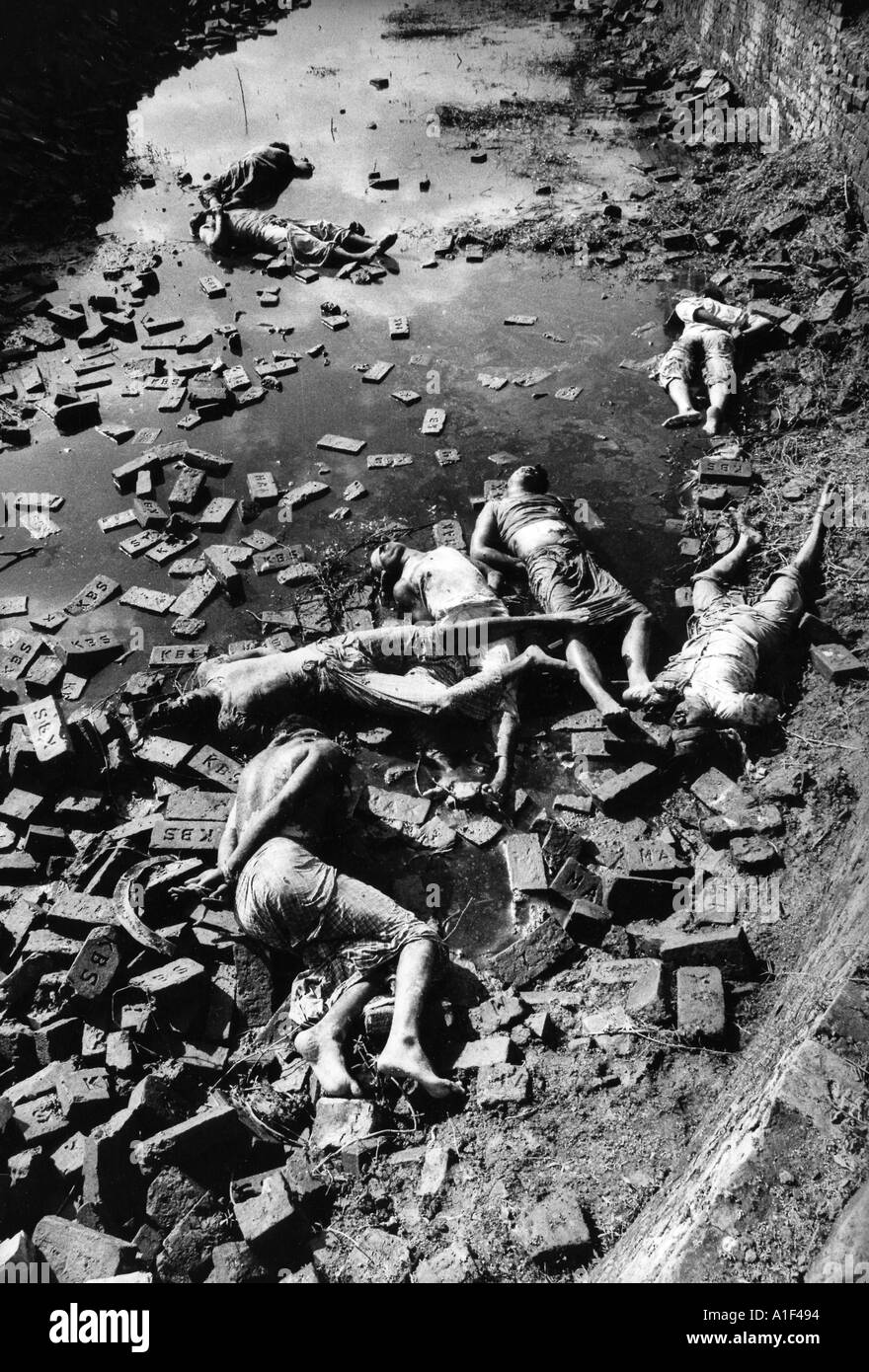 Bodies of Bengali professionals bureaucrats doctors teachers killed by retreating Pakistan forces were dumped outside Dacca Stock Photo