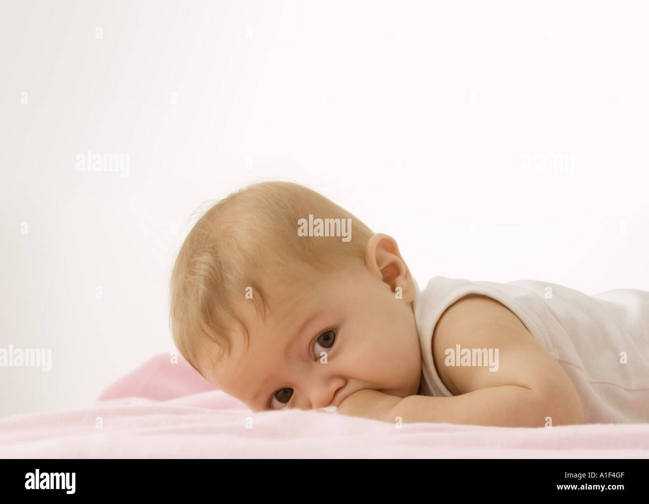 Baby lying on stomach Stock Photo Alamy