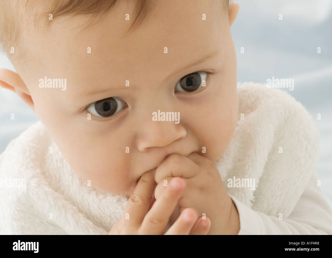 Baby putting fingers in mouth, closeup Stock Photo Alamy