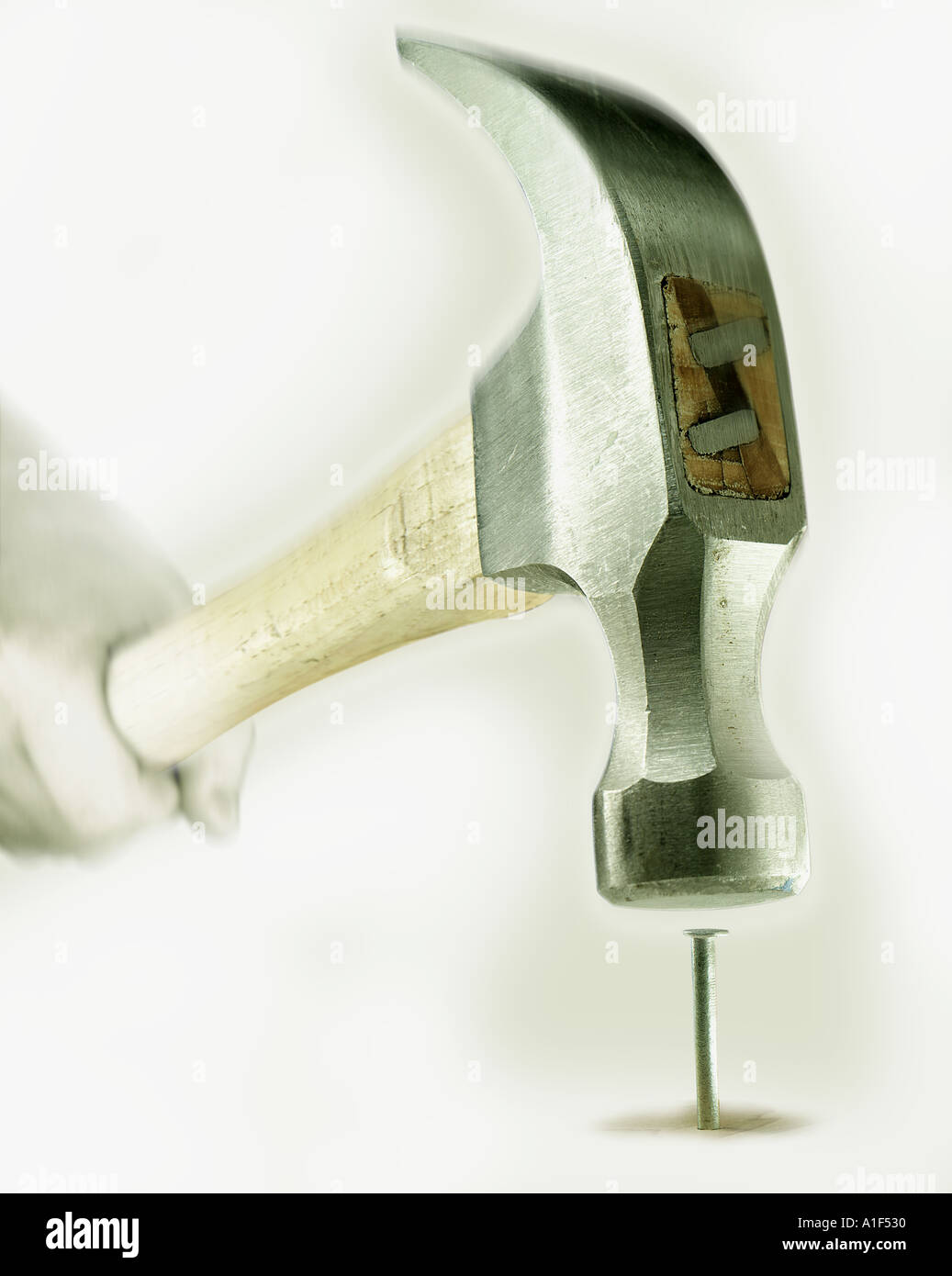 Hammer hitting nail Stock Photo Alamy