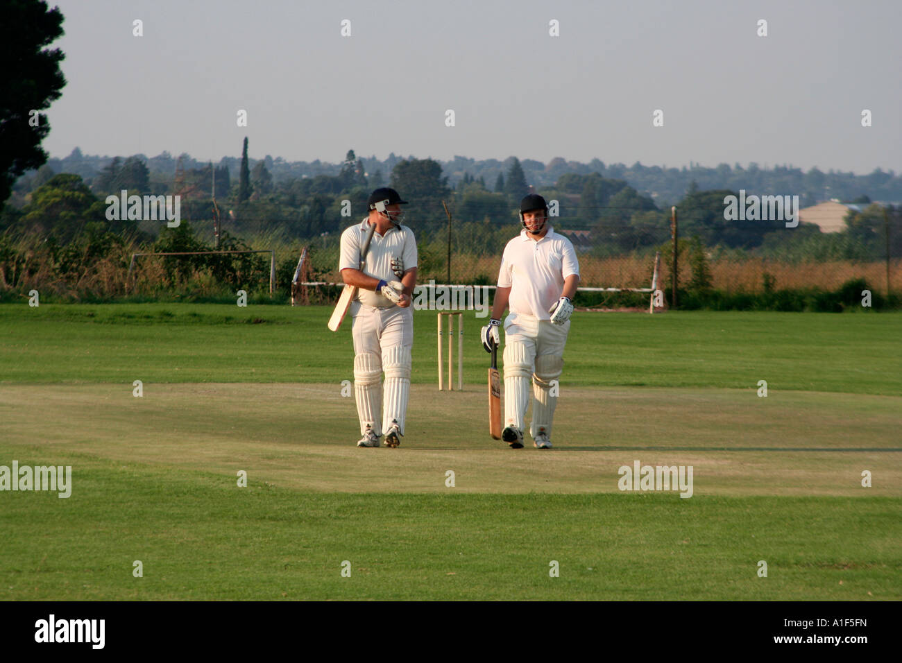 Cricket players walking off field Stock Photo Alamy