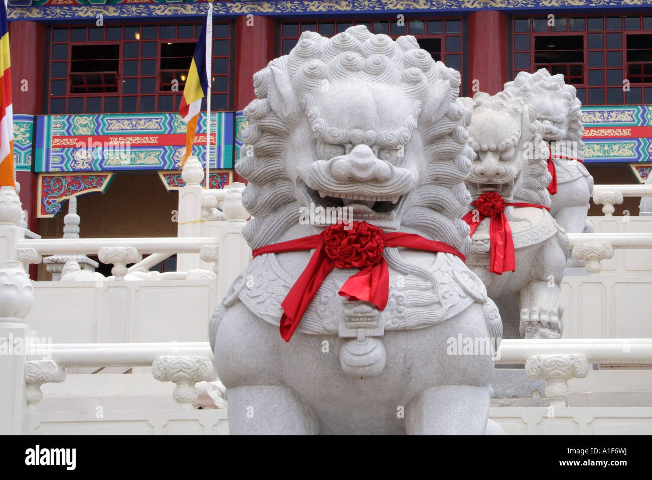Chinese lion statue Stock Photo Alamy