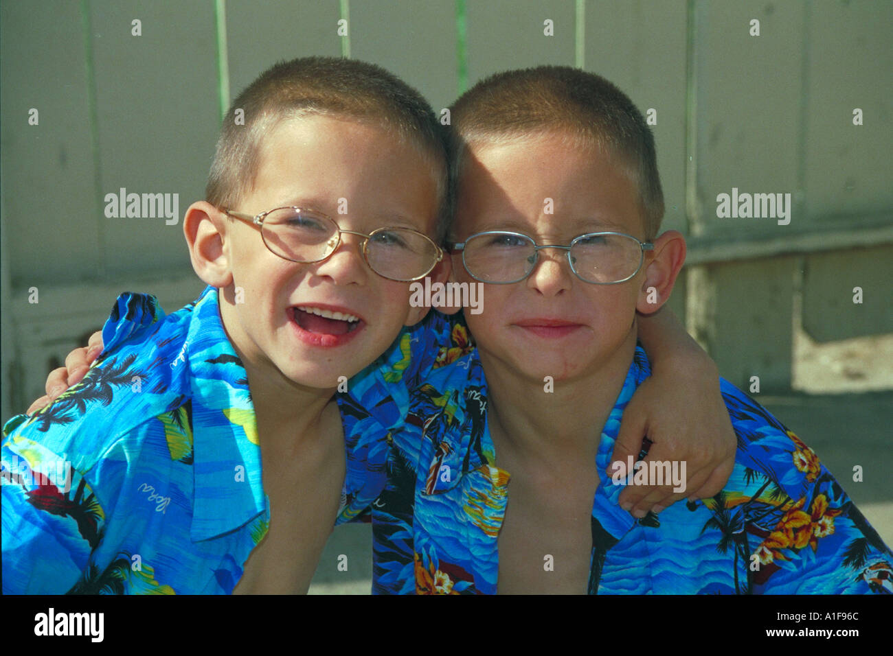 twins hawaiian shirt