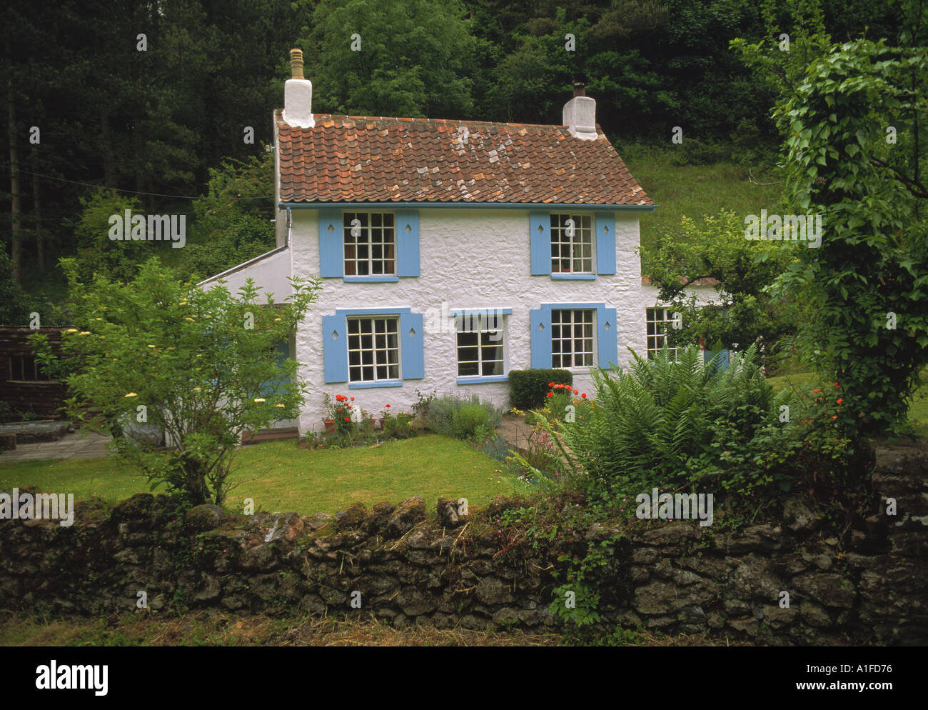 Cottage with blue shutters in the Rowbarrow Forest Mendip Somerset England N A Callow Stock Photo