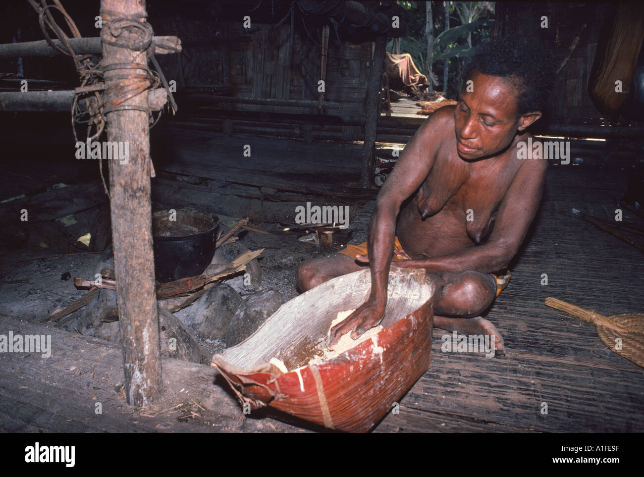 Portrait of a woman of the Iatmul tribe making sago at Ramu Papua New Guinea Pacific Islands M Mackenzie Stock Photo