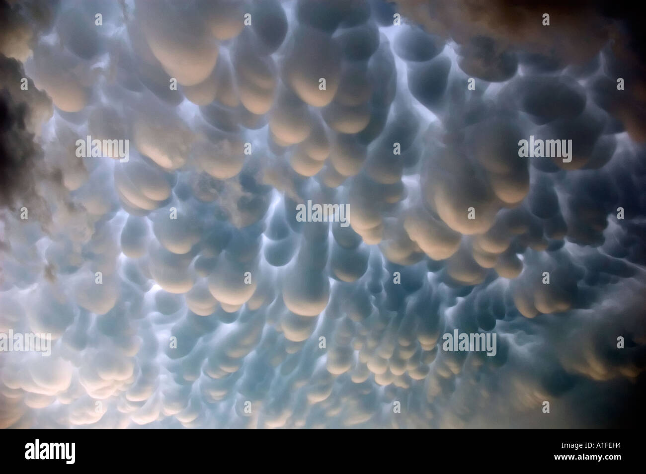 Very dramatic and eerie clouds called mammatus bubble downward from the anvil of a severe thunderstorm over northwest Oklahoma. Stock Photo