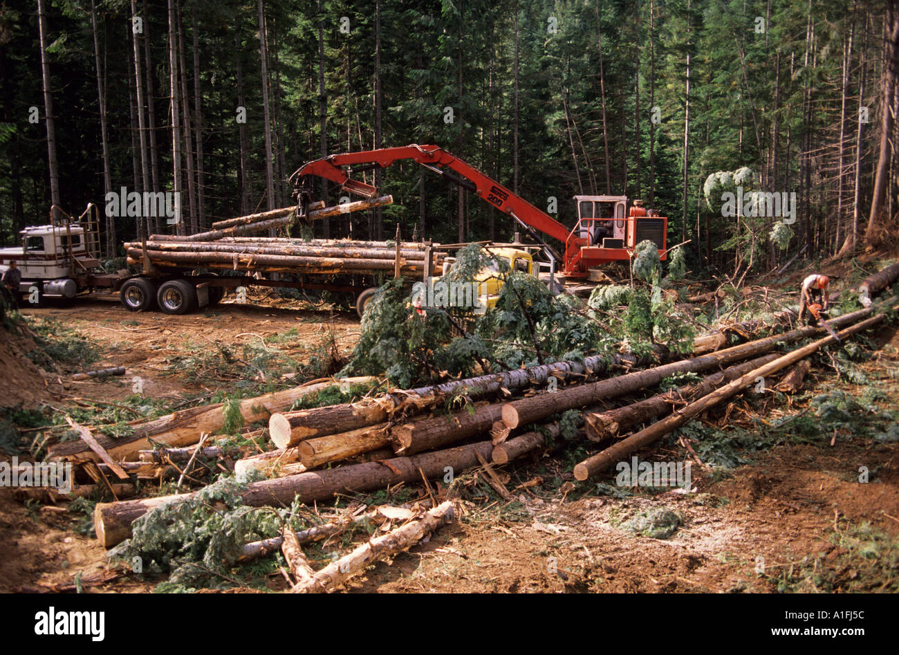 Logging operation in North Idaho Stock Photo Alamy