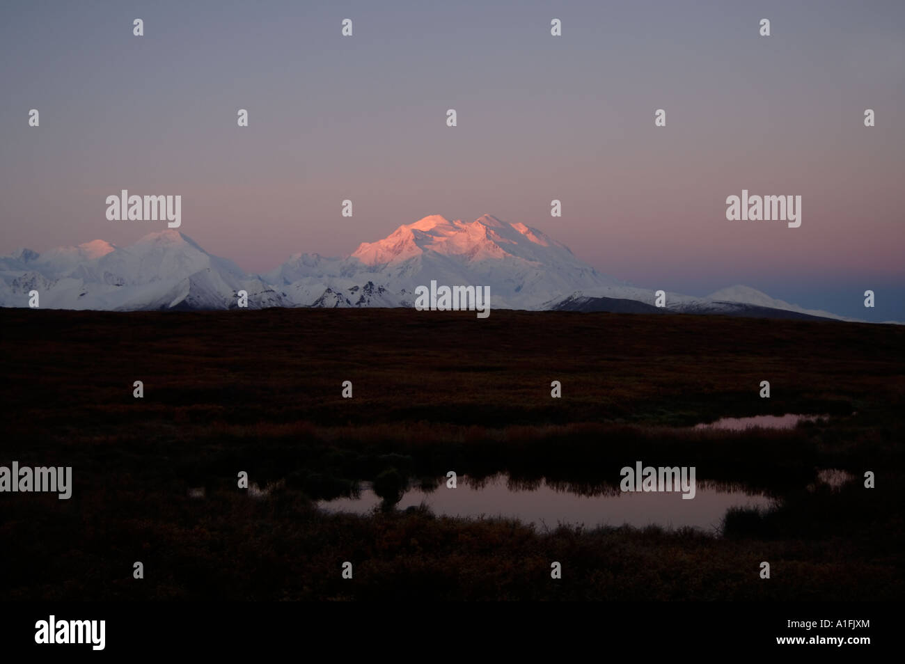 mount McKinley or Mount Denali at sunrise Denali National Park interior
