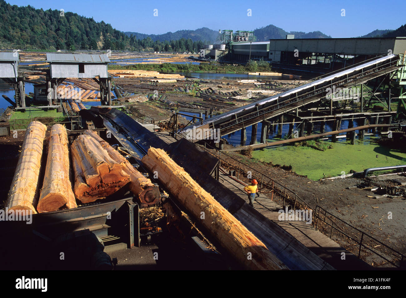 Pacific Lumber Mill a redwood sawmill in Scotia California  Stock Photo