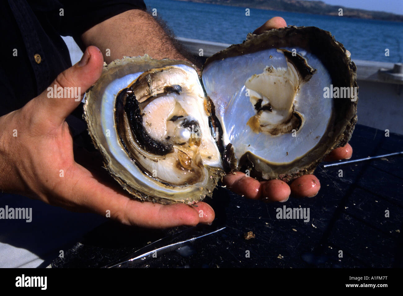 Australian pearls hires stock photography and images Alamy