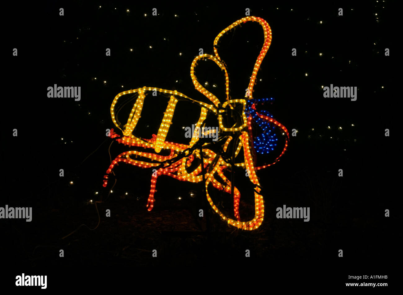 River of Lights a holiday light show at the Rio Grande Botanical Garden