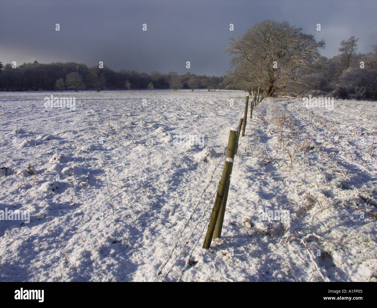 East Anglian winter snow country scene February 2005 Stock Photo