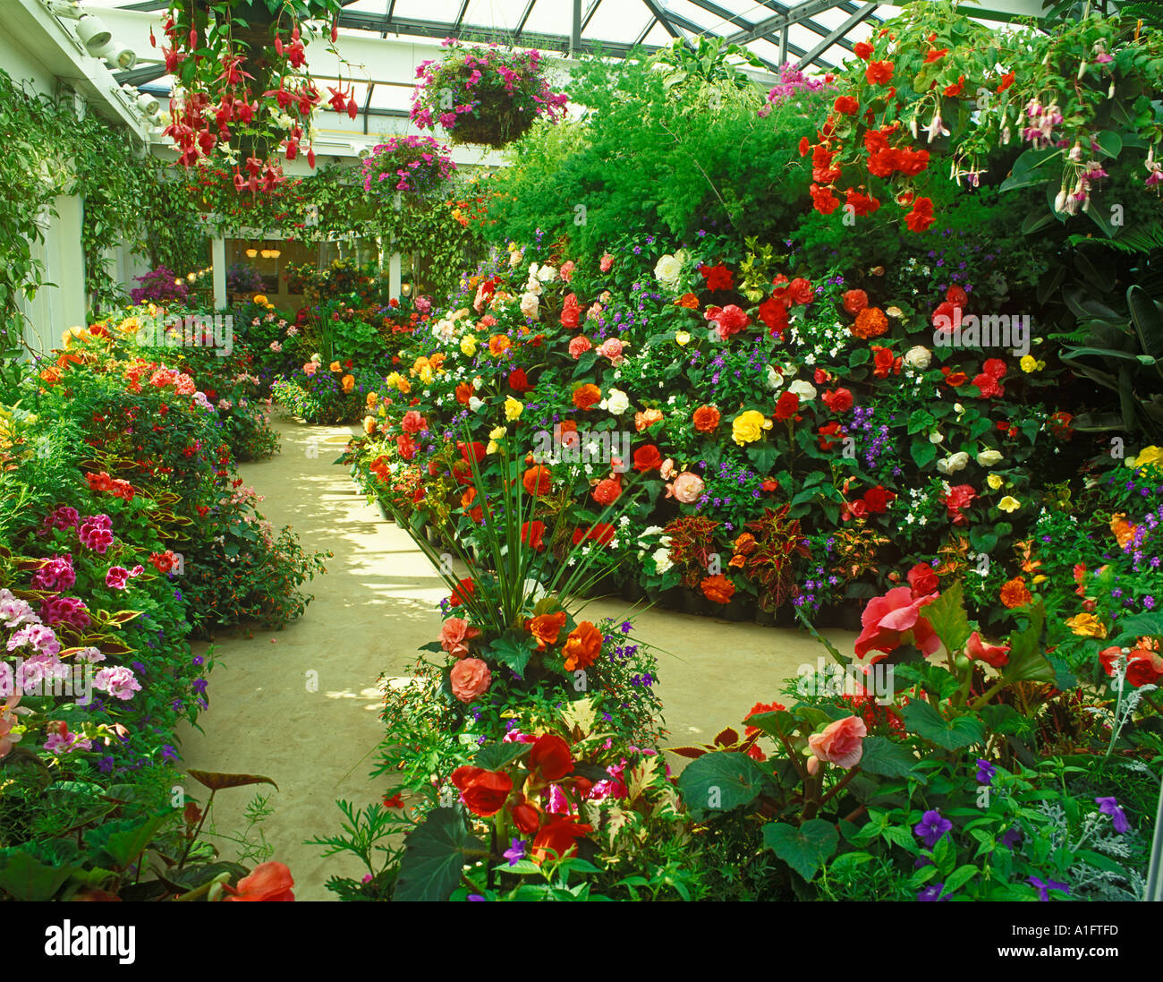 Greenhouse flowers Butchart Gardens Victoria British Columbia Canada
