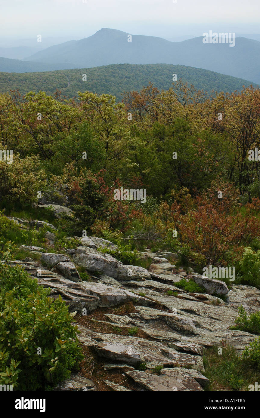 Old rag shenandoah national park va hi-res stock photography and images ...