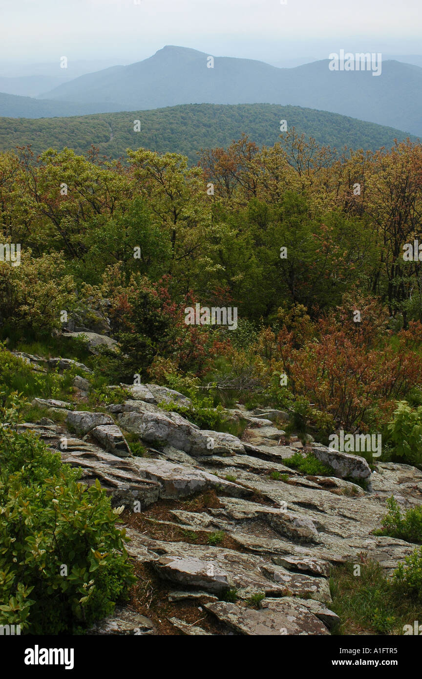 Old Rag Mountain is visible in the distance as viewed from Hawksbill Peak in Shenandoah National Park, VA. Stock Photo