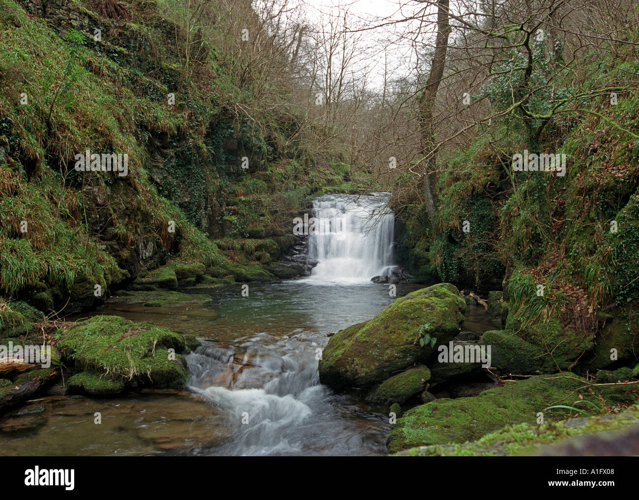 Watersmeet waterfall in Devon Britain UK Stock Photo Alamy