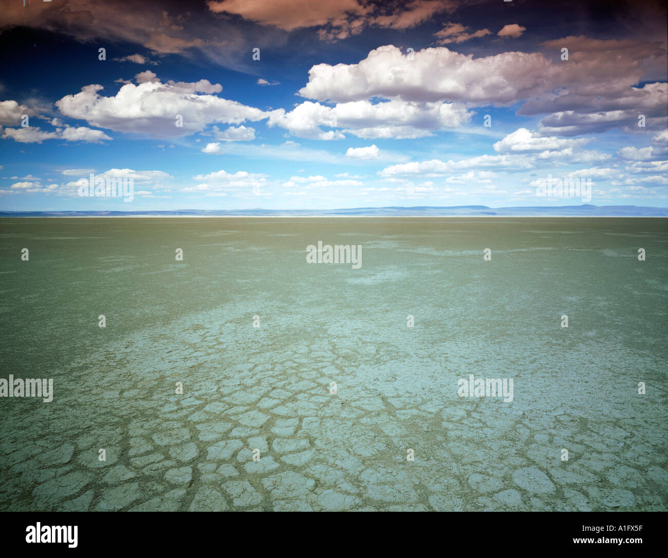 Dry Summer Lake bed in summer with puffy clouds Oregon Stock Photo