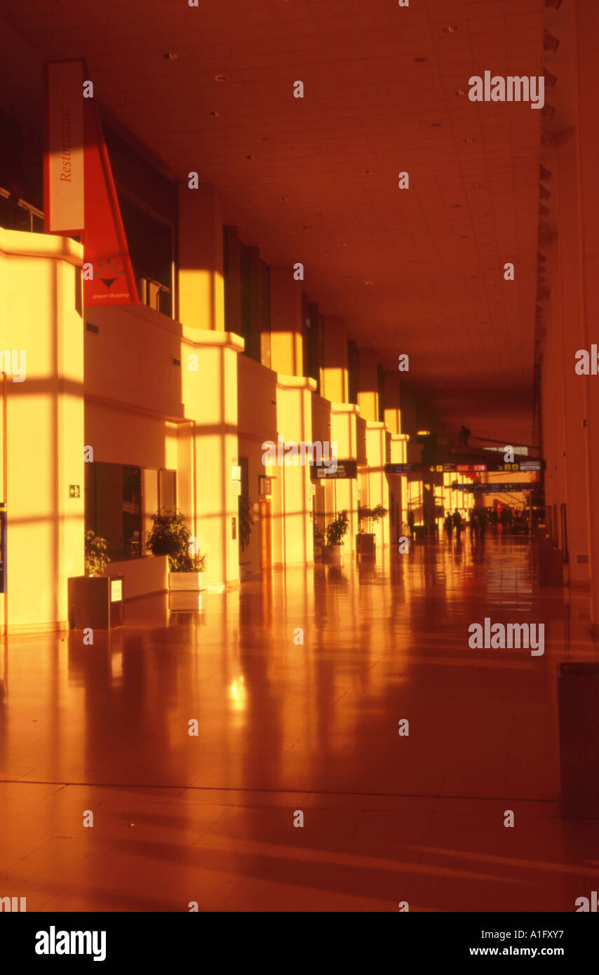 Airport customs check hi-res stock photography and images - Alamy