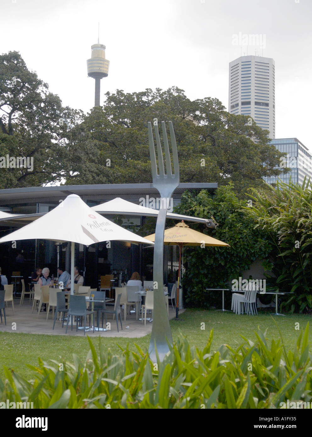 Australian pt garden trees hires stock photography and images Alamy