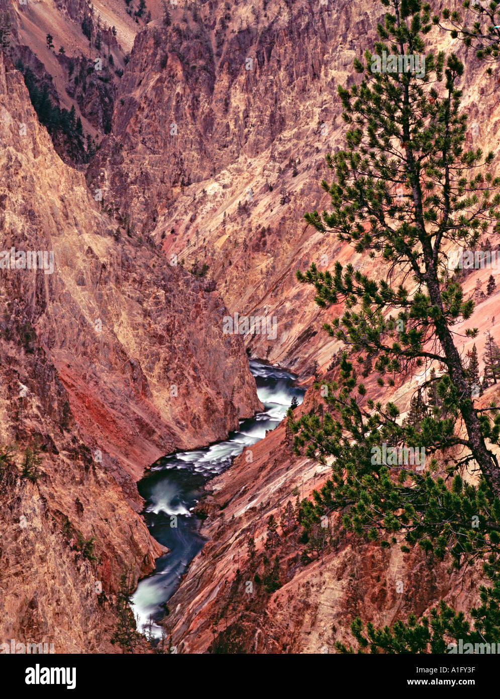 Gorge of the Yellowstone River Yellowstone National Park Wyoming Stock Photo