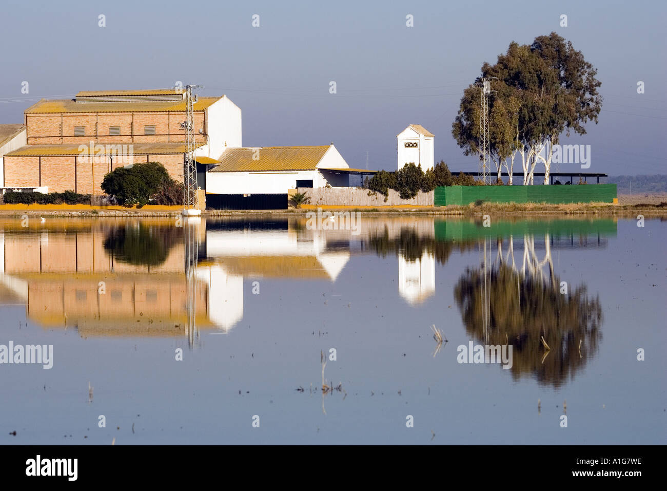 Country house reflected on a rice field, Isla Mayor, Seville, Spain