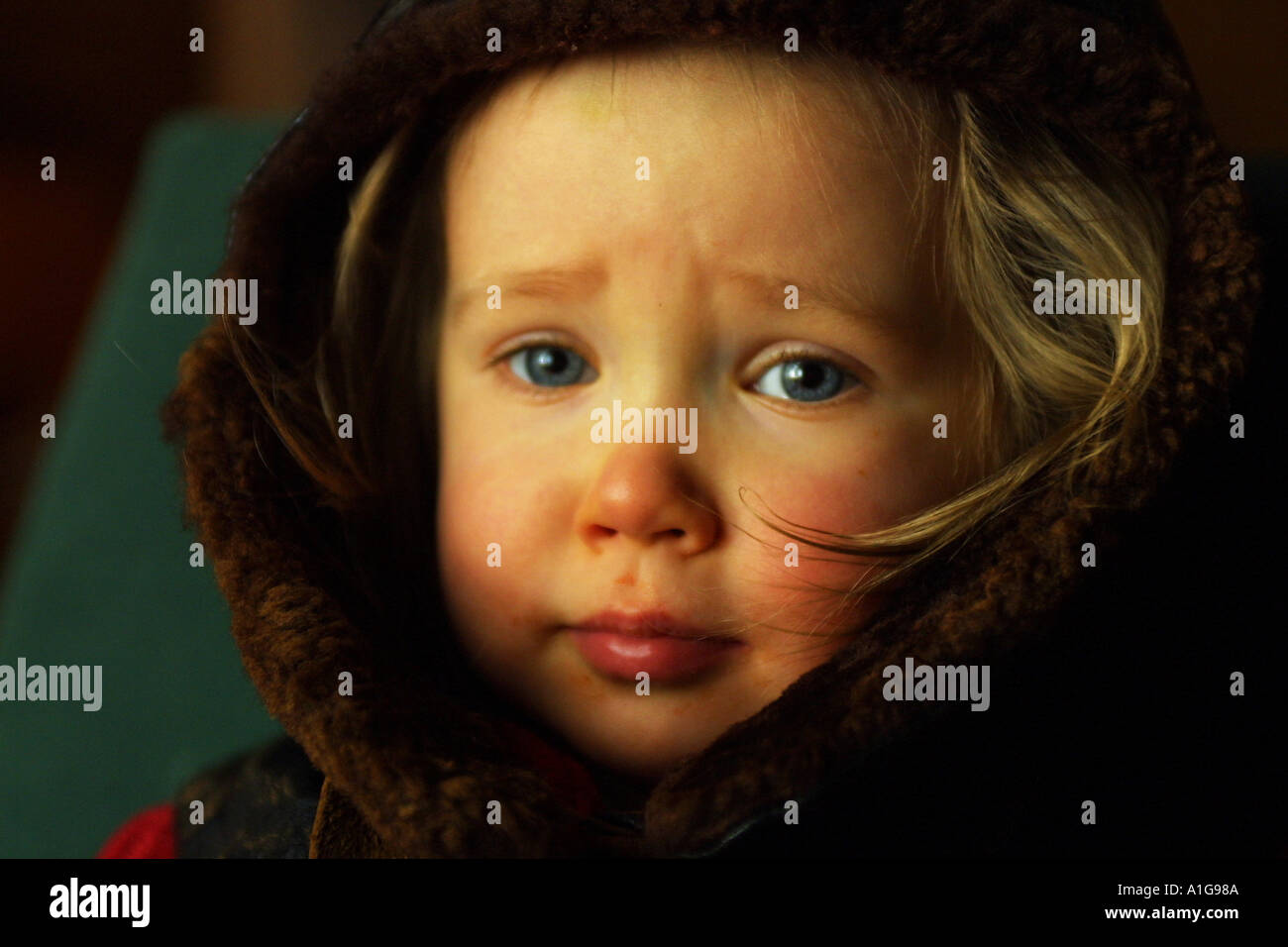 Sharp facial features hi-res stock photography and images - Alamy
