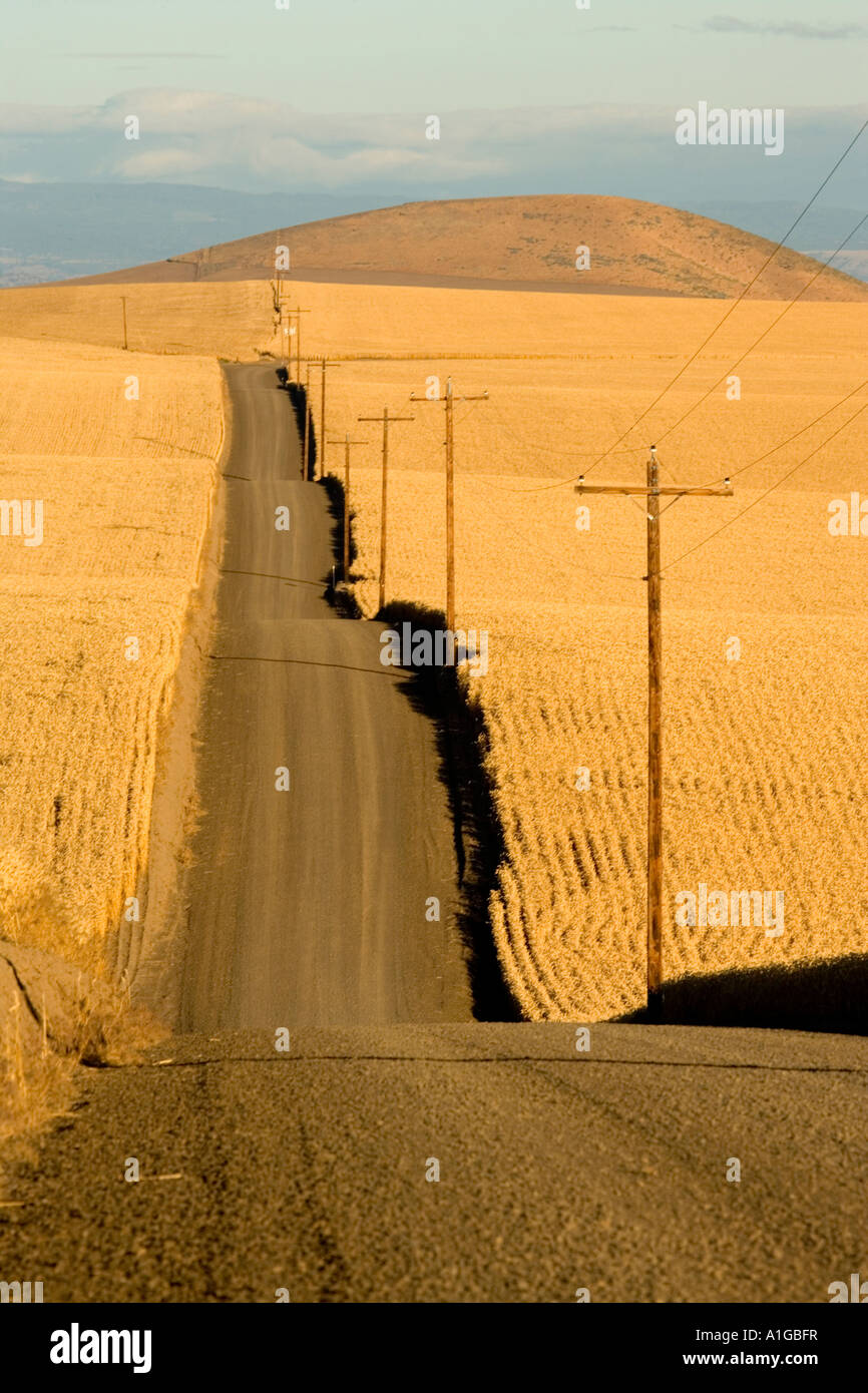 Undulating country road with power poles to the right,. Stock Photo