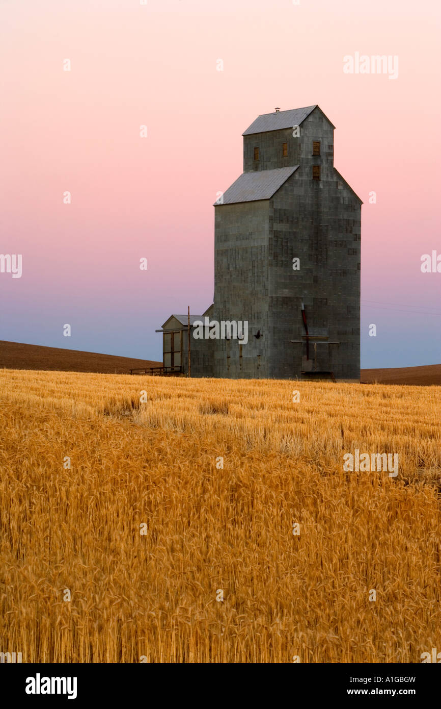 Grain elevator, wheat stubble Stock Photo Alamy