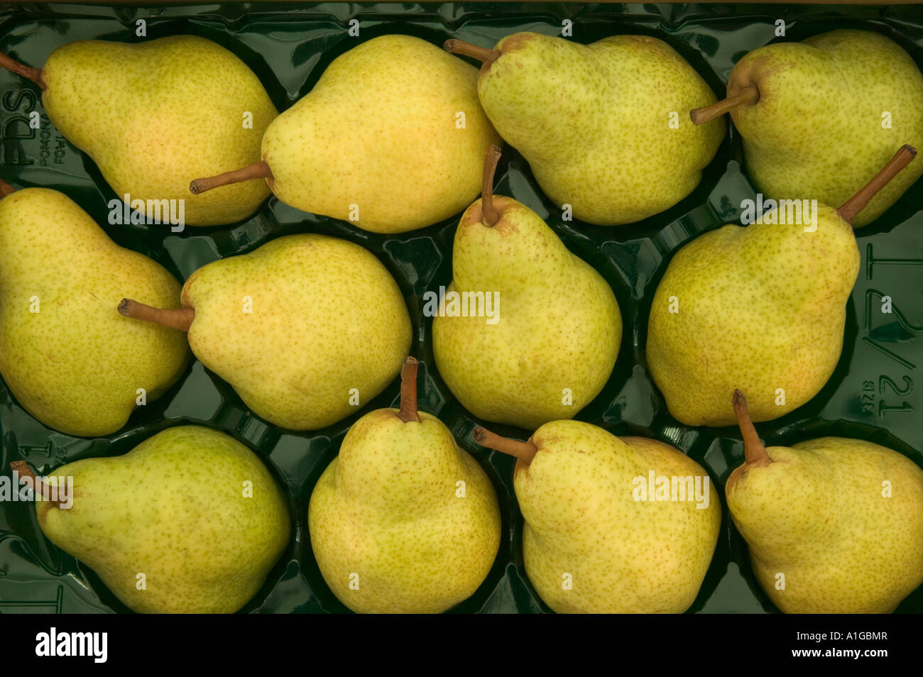 shape Pears 'Bartlett' variety in packing tray Stock Photo Alamy