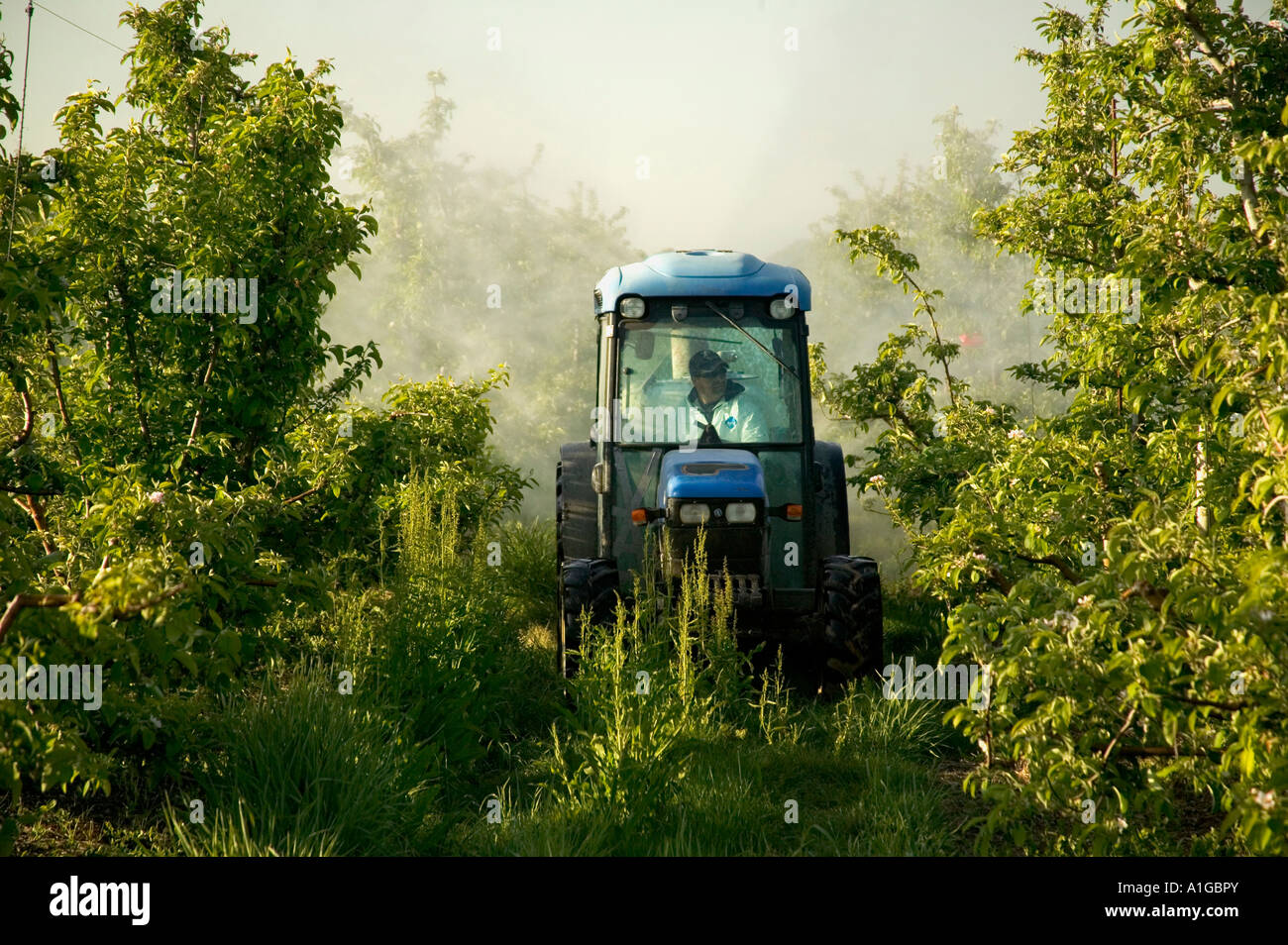 Tractor with sprayer applying chemicals Stock Photo
