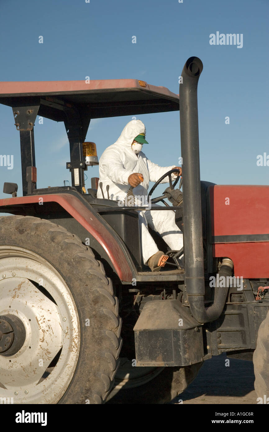 Tractor operator wearing protective clothing, watermelon harvest, California Stock Photo