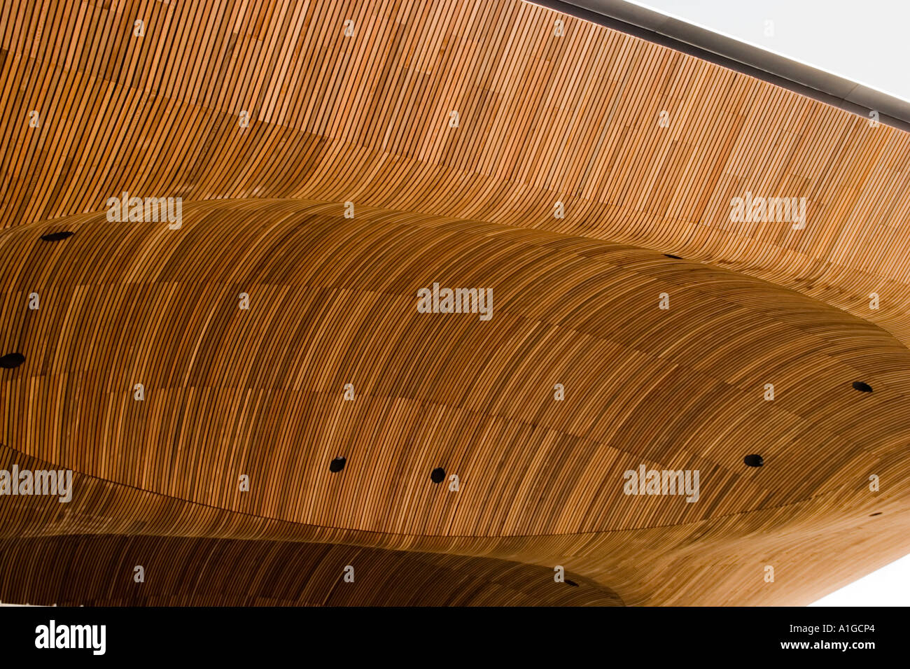 Wood Strip Ceiling Of The Foyer Of The Welsh Assembly Government