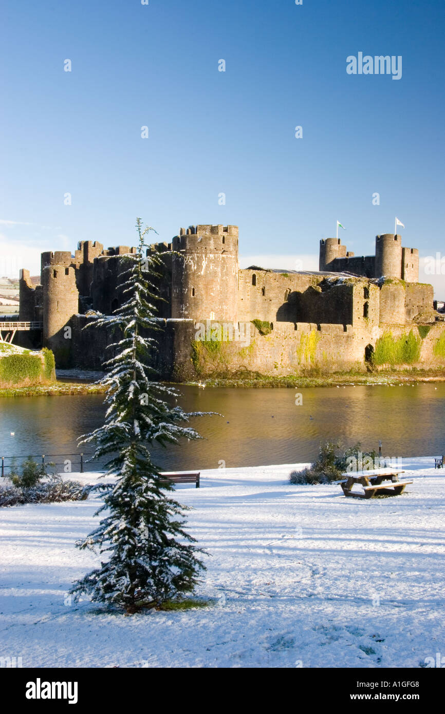 Tree in Snow Caerphilly Castle South Wales Stock Photo