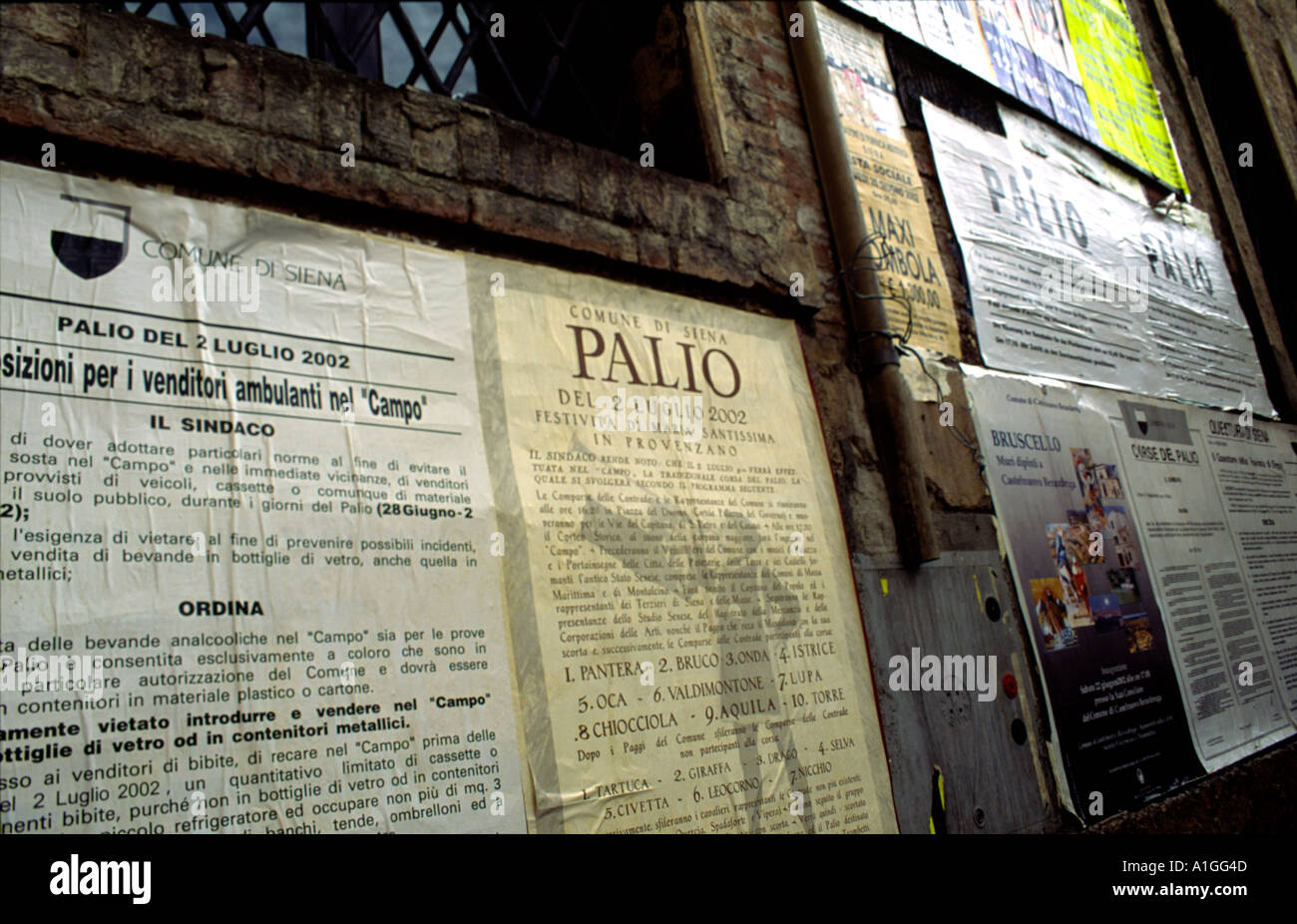 Placards on Siena street walls notify citizenry of Il Palio horse race and its rules Siena Tuscany Italy  Stock Photo